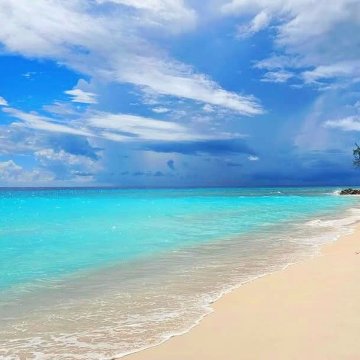 蓝色地平线酒店-泳池