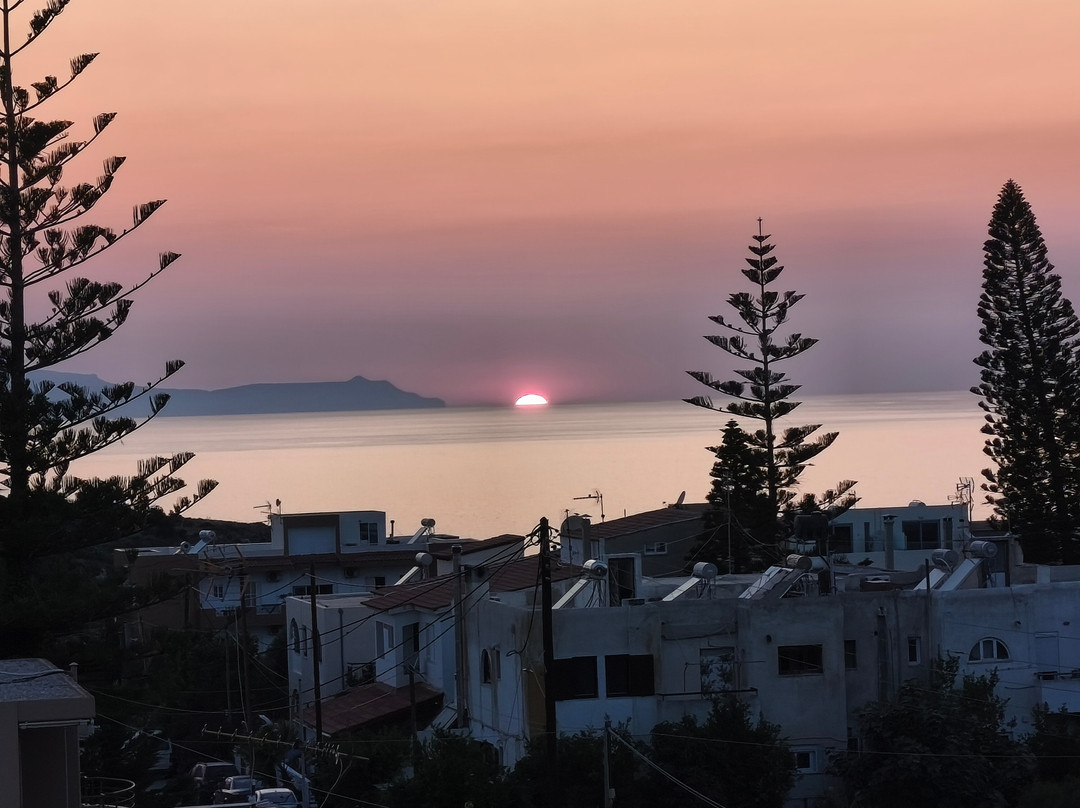 Waterlily Hotel主图