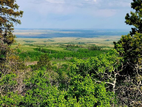 赛普拉斯山省际公园-Maple Creek必去景点