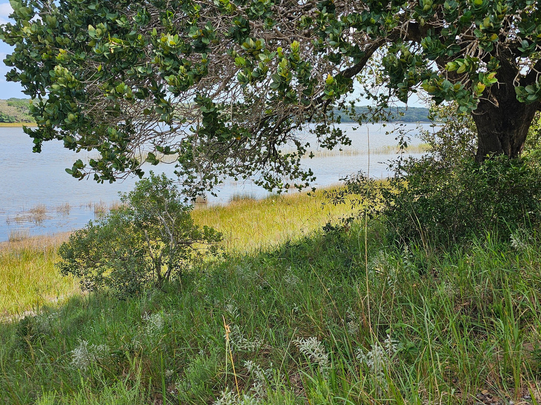 Maputo Special Reserve-马布多必去景点