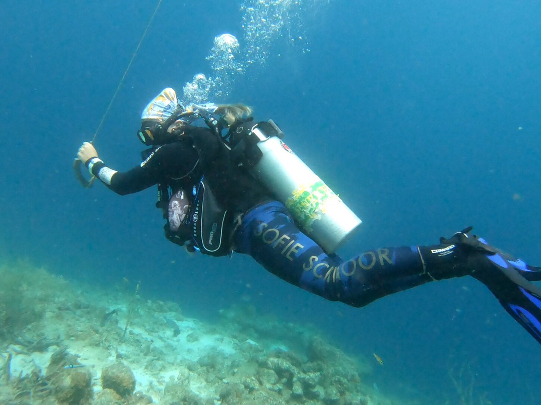 Dive Center Scuba Do-威廉斯塔德必去景点