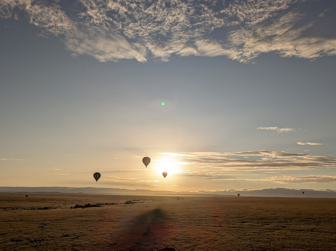 Amazing Africa Tours景点图片