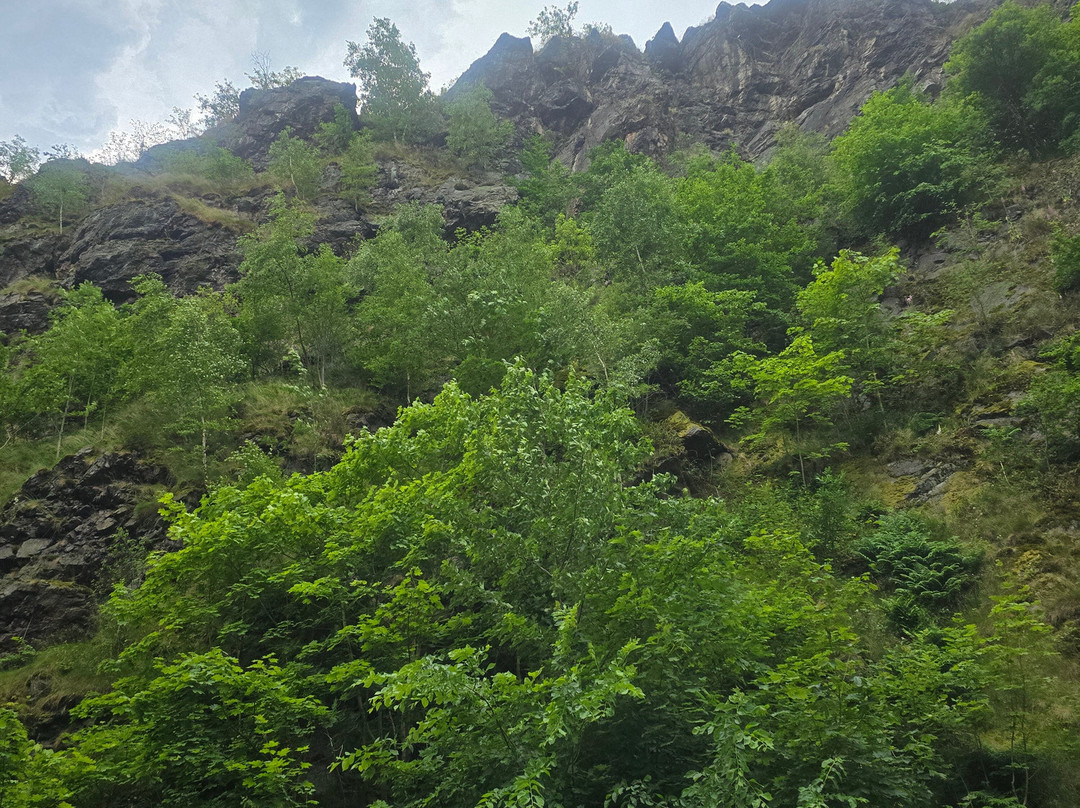 Prague Natur Retreats