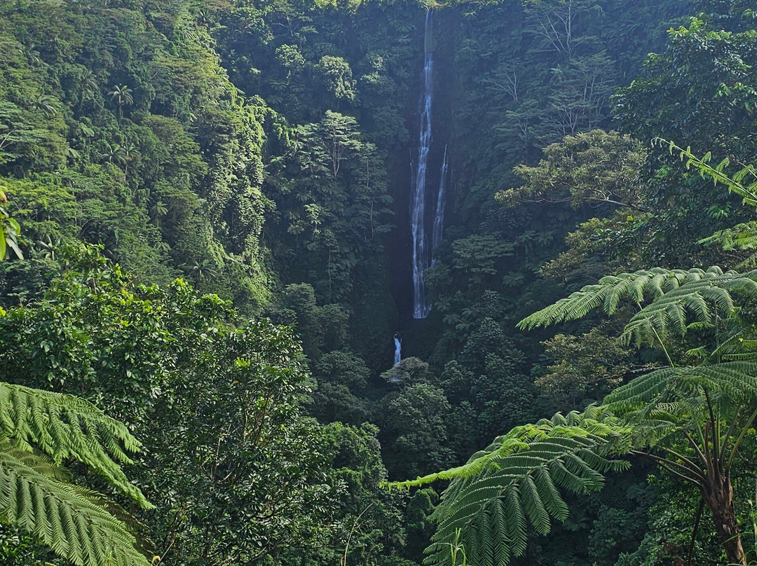 Coconut Tours & Transport Samoa-Vaitele必去景点