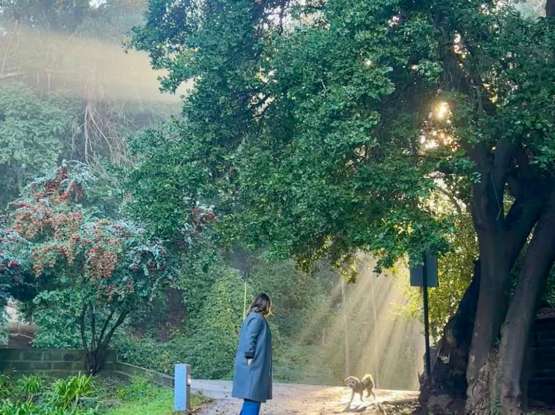 会议城酒店主图