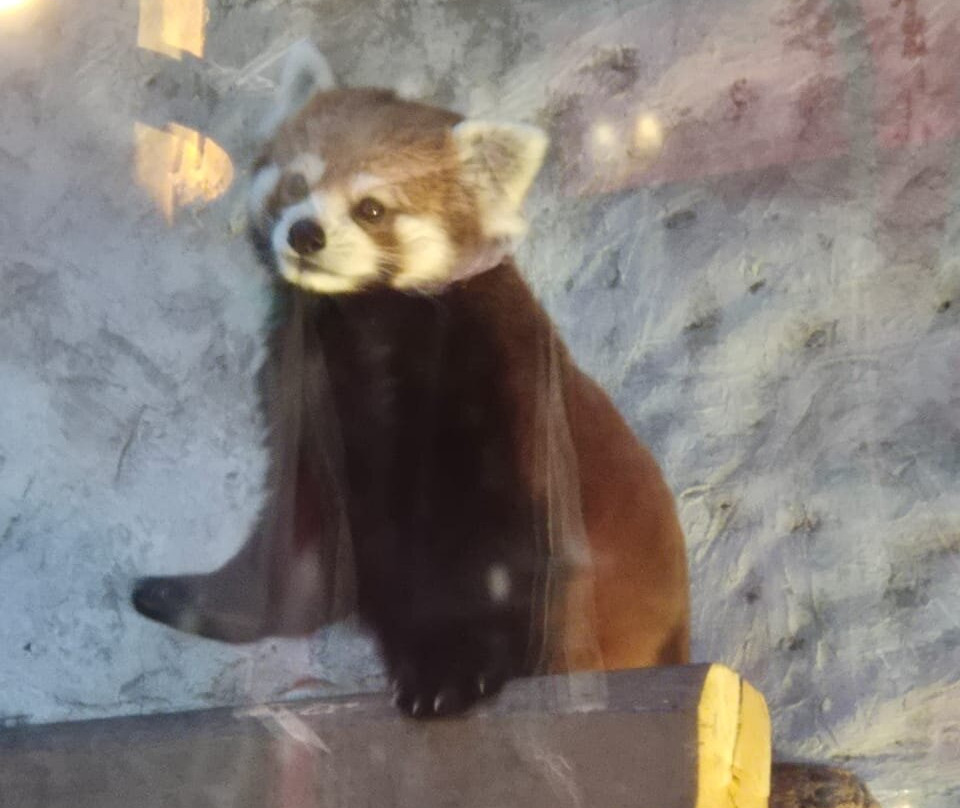 Buin Zoo-Buin必去景点