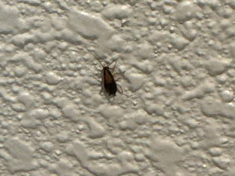 卡温顿品质套房酒店主图