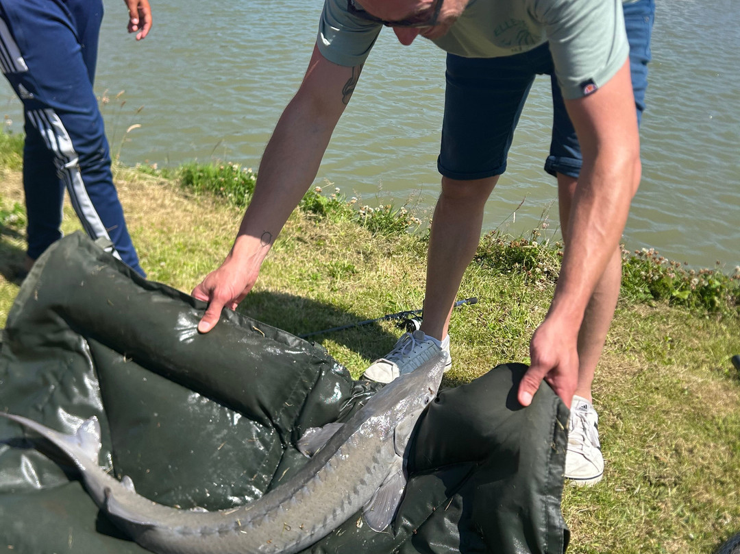 Fish Fun Vrouwenpolder-Vrouwenpolder必去景点