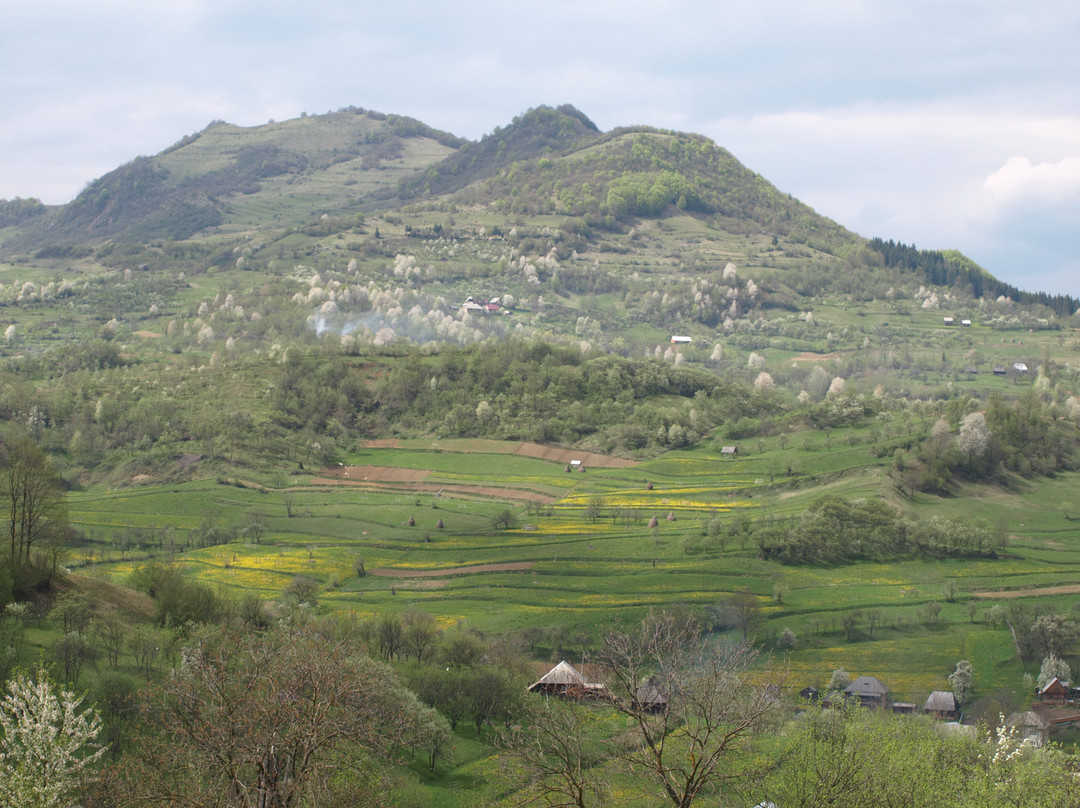 Maramures Tours-Sighetu Marmatiei必去景点
