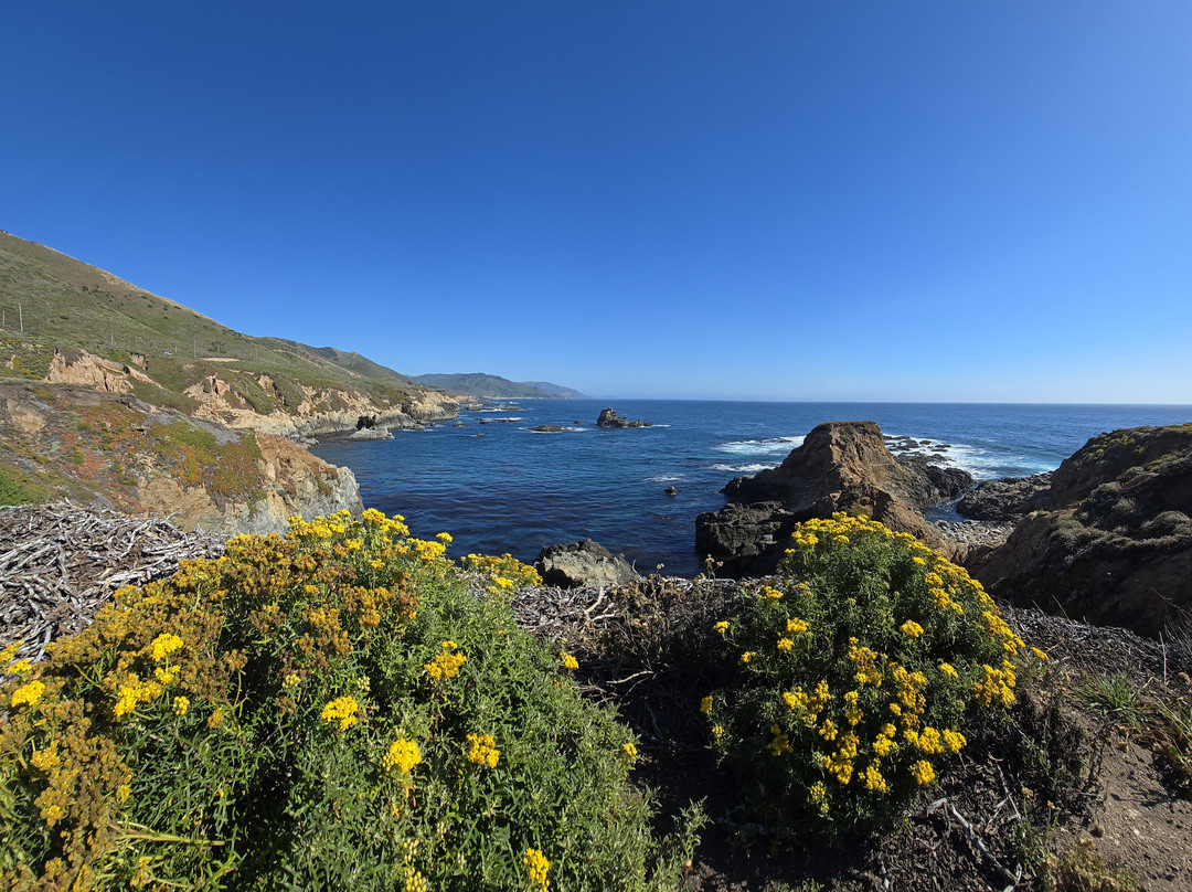 Highway 1 Road Trip-圣路易斯-奥比斯波必去景点