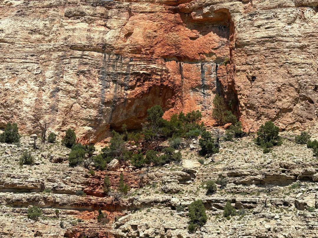 Hidden Treasure Day Charters-Lovell必去景点
