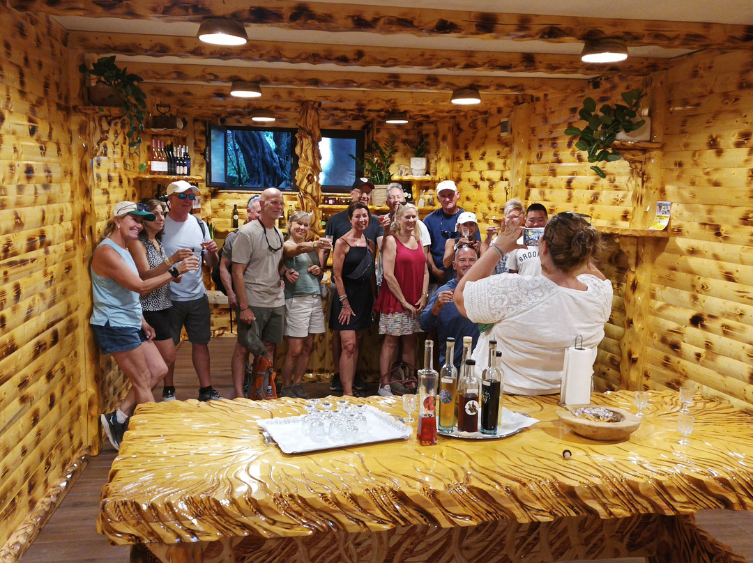 Korcula Buggy-科尔丘拉镇必去景点