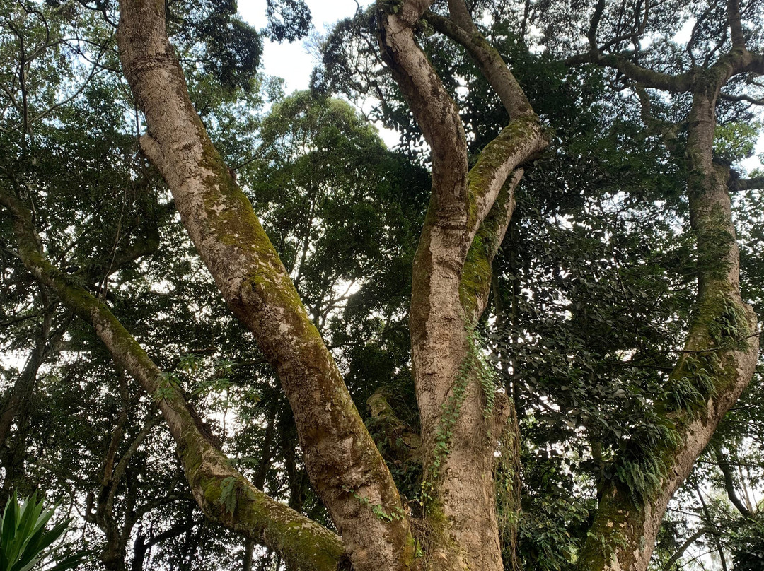 Kwamongo Expeditions-坦噶必去景点