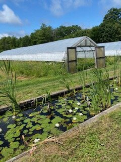 Snell Family Farm-West Buxton必去景点
