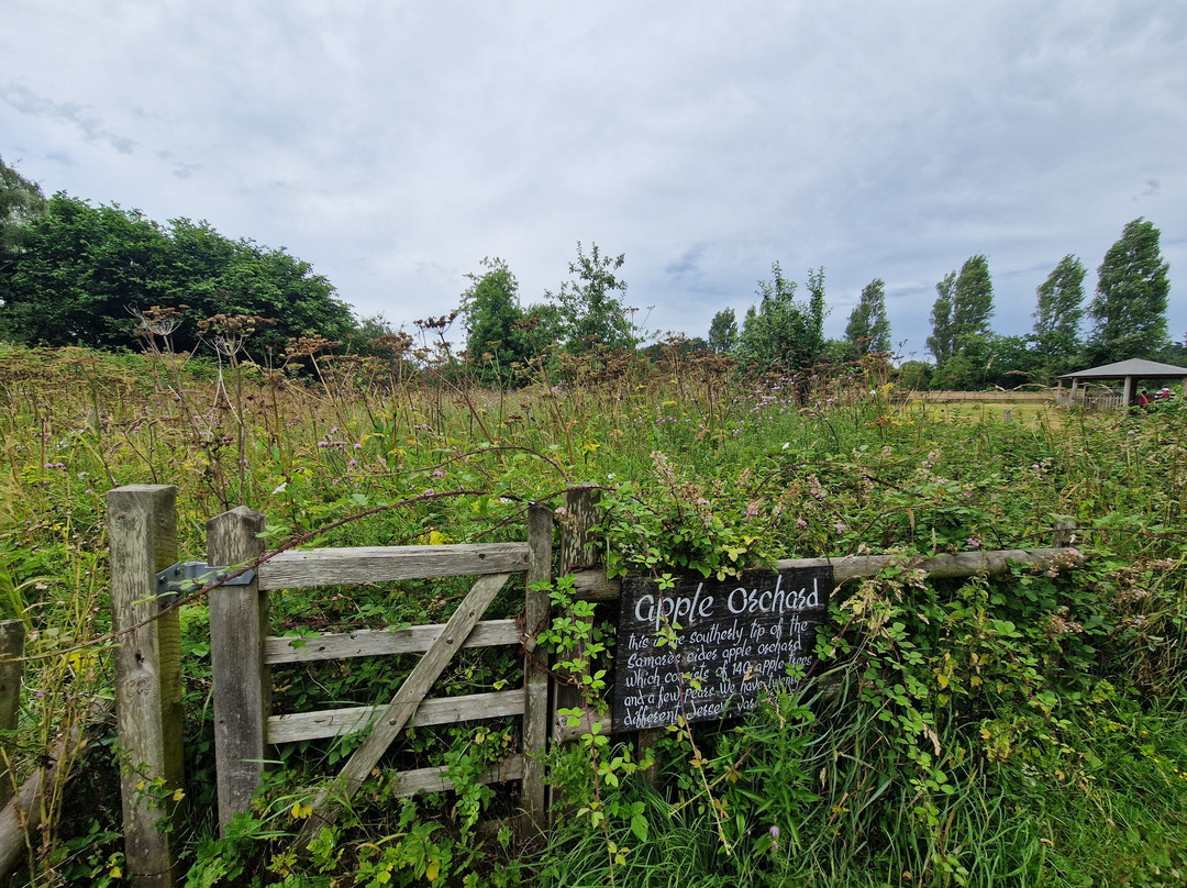 Samares Manor-St. Clement必去景点