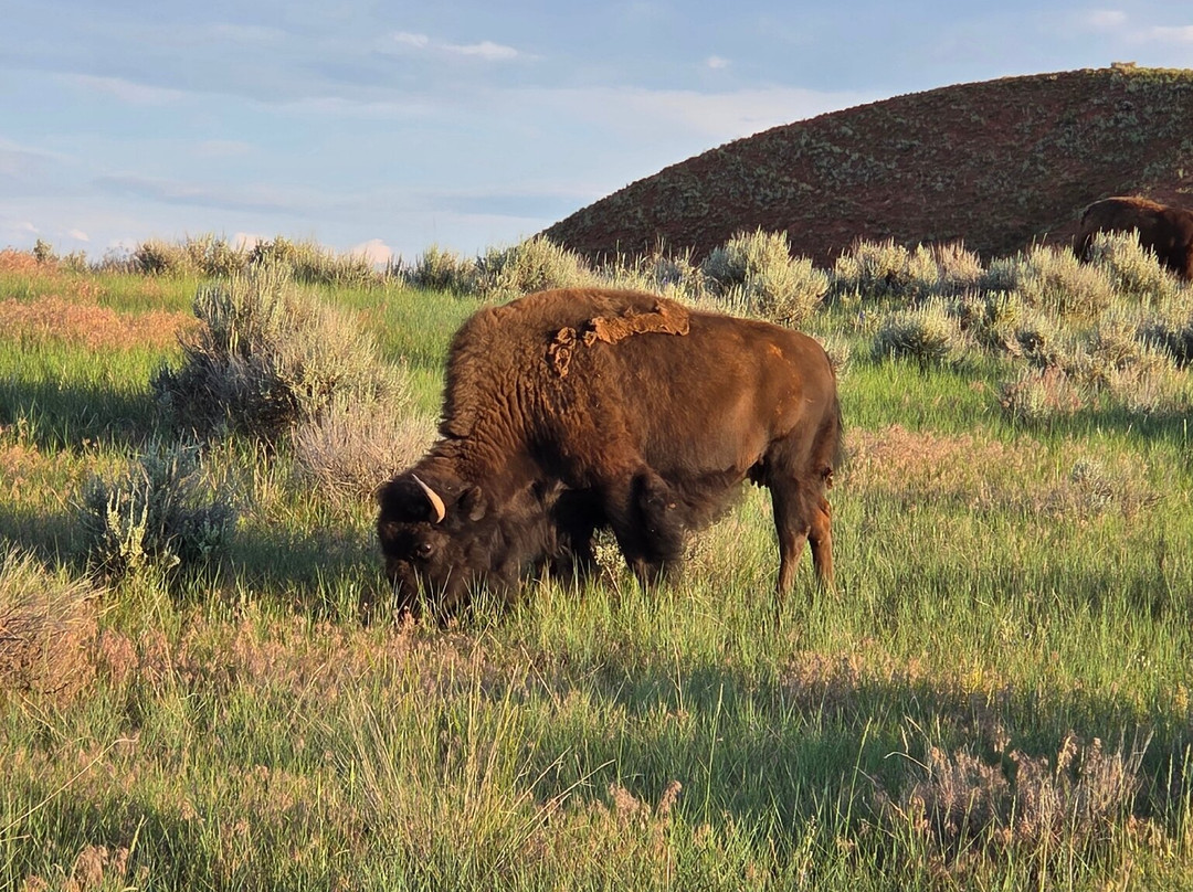 Quality Inn Thermopolis主图