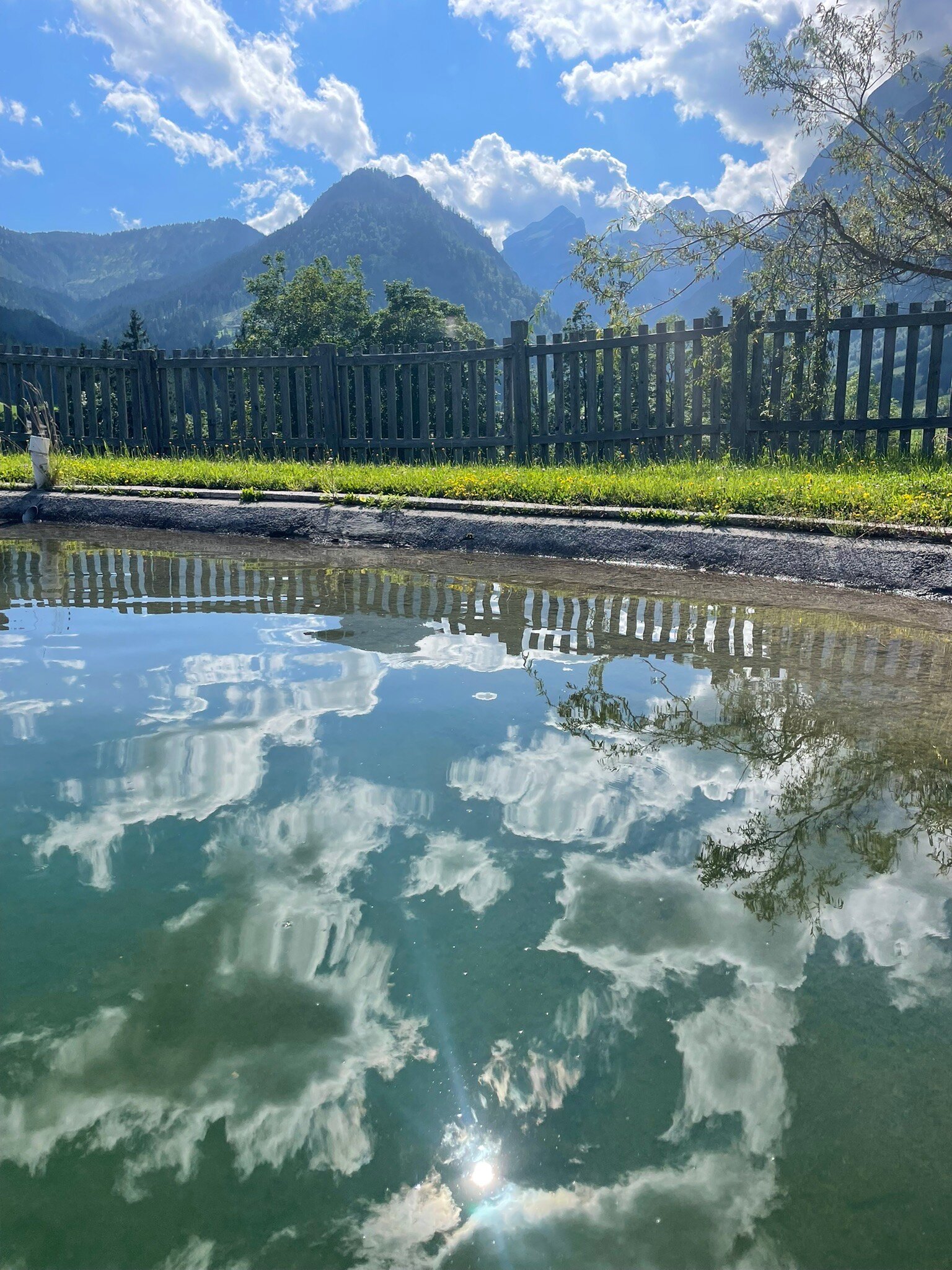 Berghof-Pension Wildau-官方