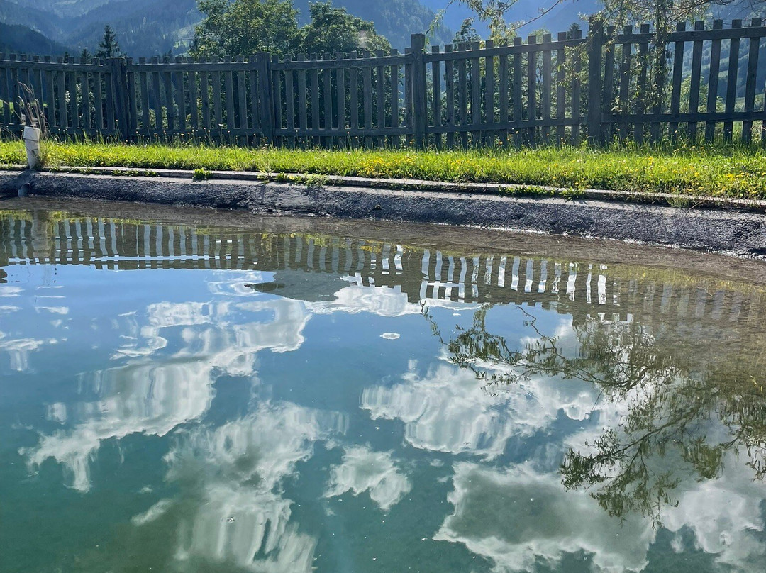 Berghof-Pension Wildau主图