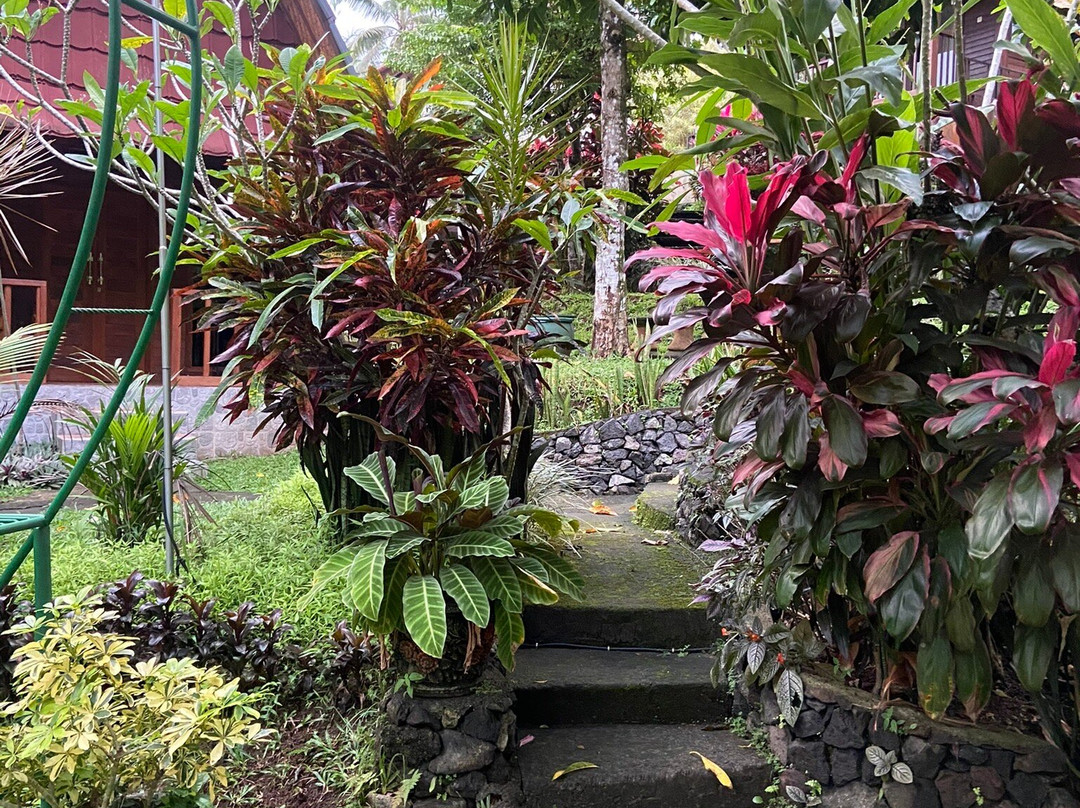 Bali Sesandan Garden主图