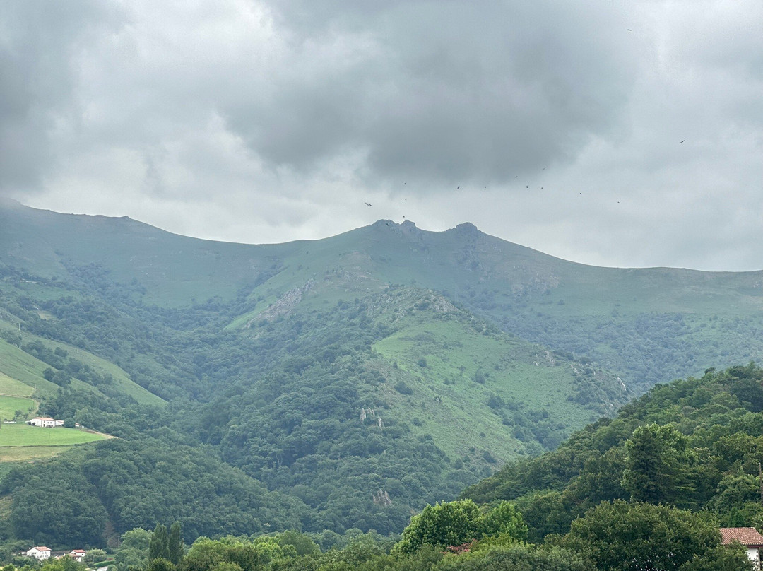 Logis Hôtel Noblia主图