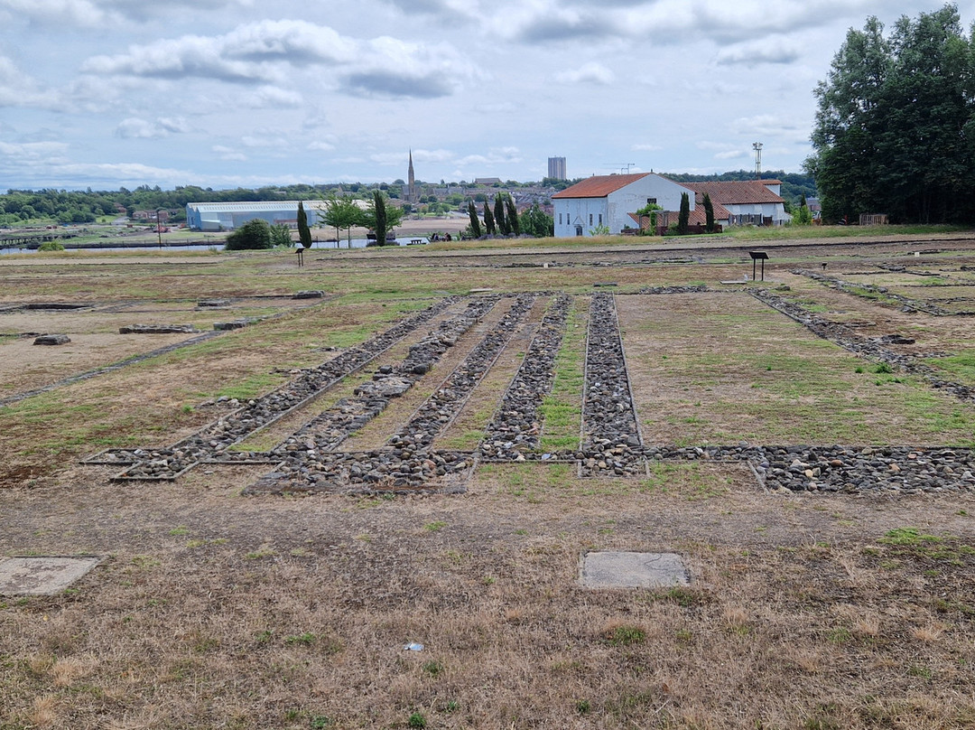 Segedunum Roman Fort and Museum-Wallsend必去景点
