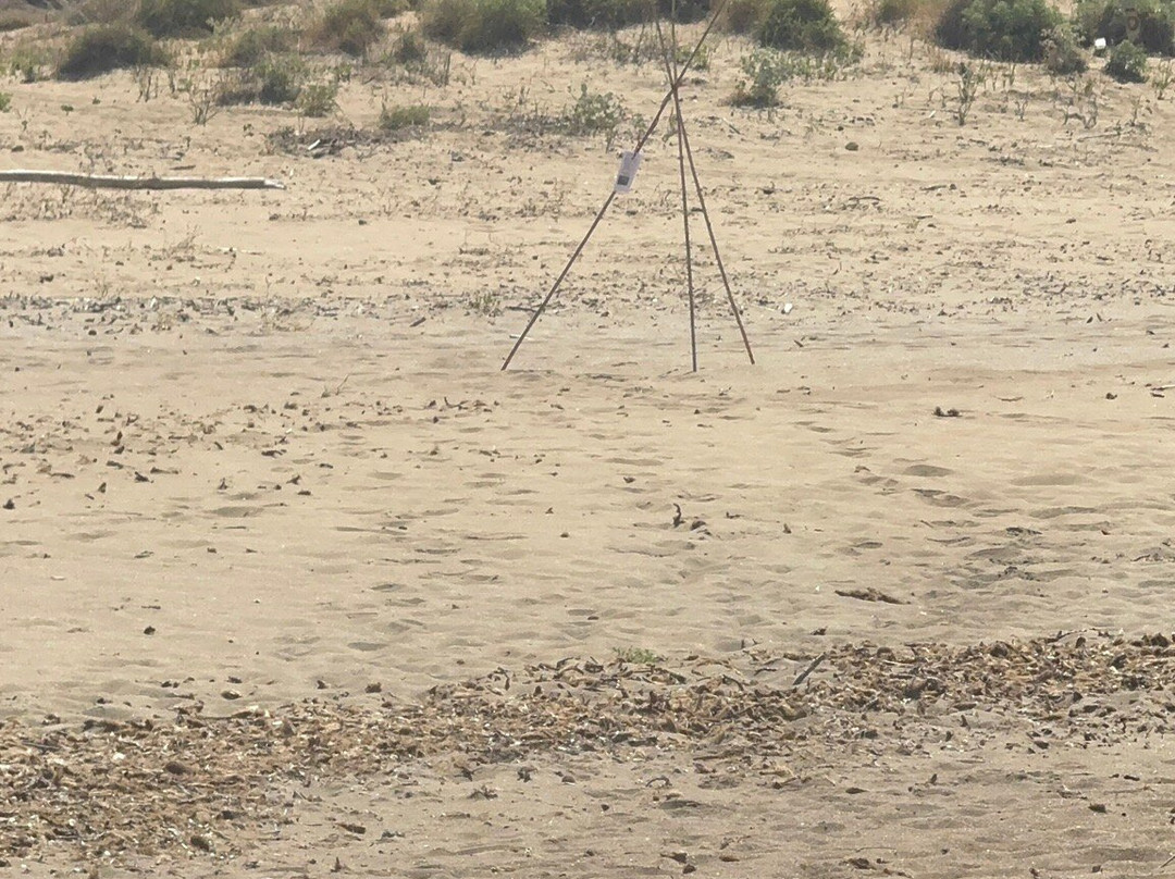 Kaminia Beach-Eleios-Pronnoi必去景点