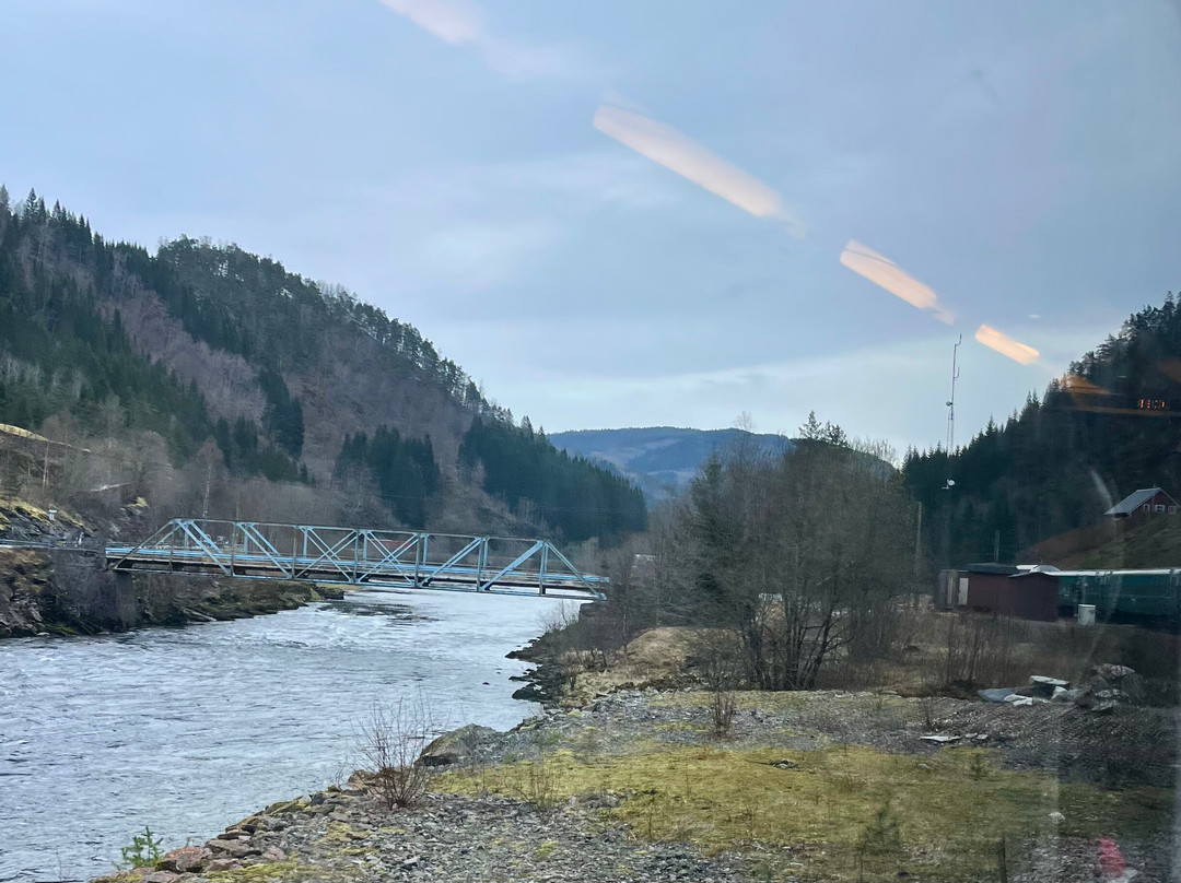 Bergen to Oslo Train Ride-卑尔根必去景点