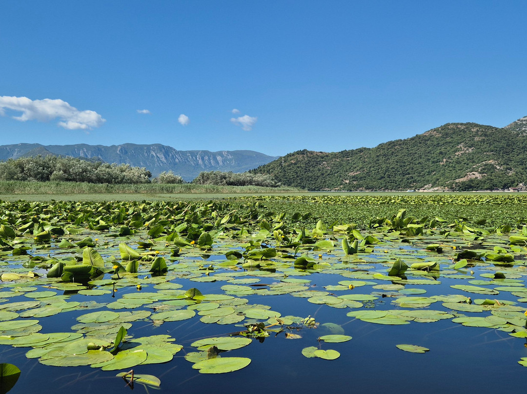 Monte Frog Boat Cruise-维尔巴札拉必去景点