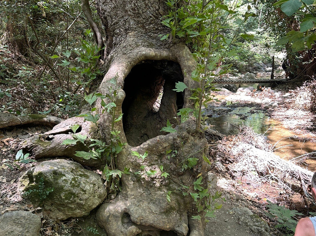 Potami Waterfalls-Karlovasi必去景点