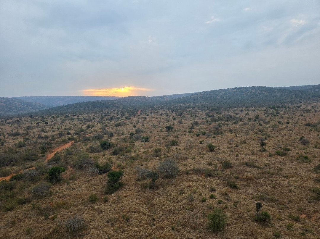 Royal Balloon - Rwanda-Akagera必去景点