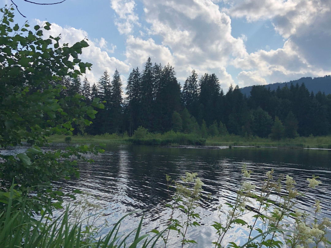 Waldbad Gieringer Weiher-Reith bei Kitzbuehel必去景点