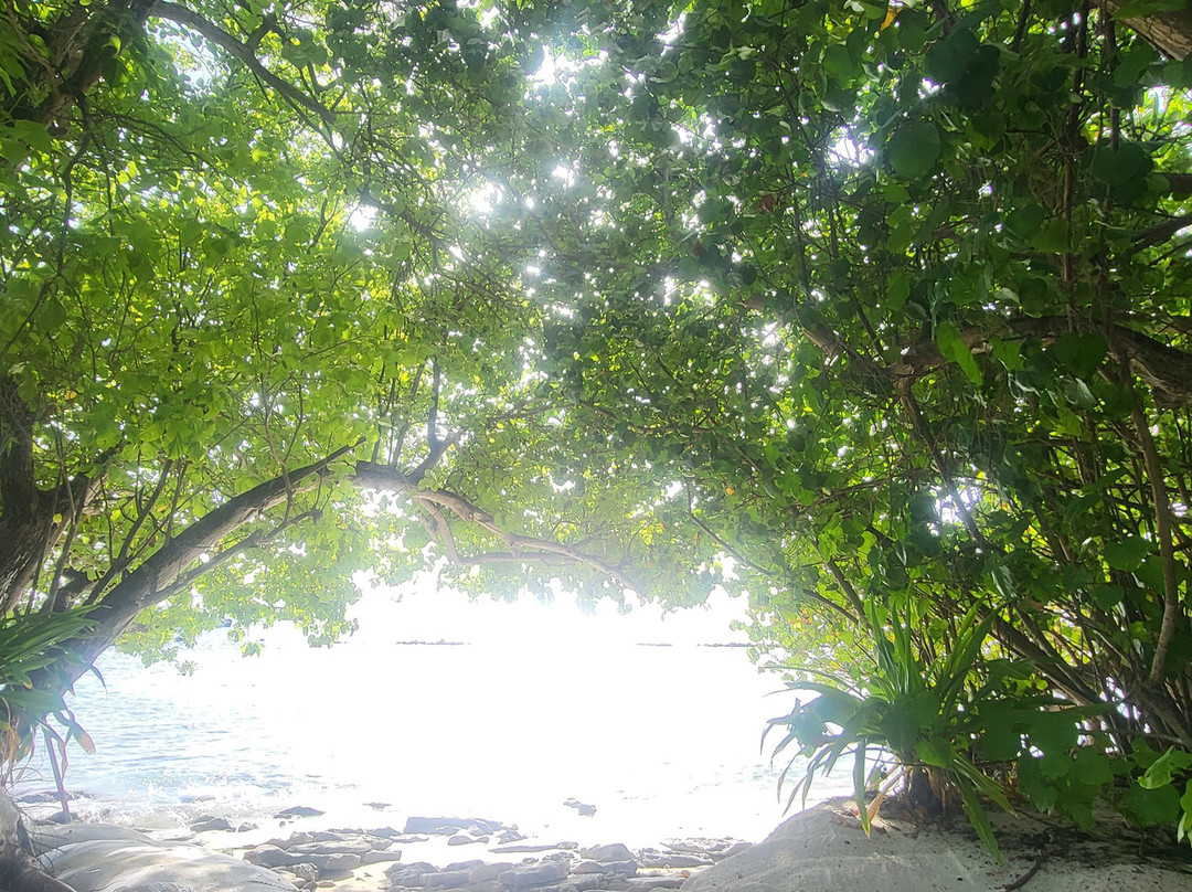 Dreamland The Unique Sea & Lake Resort / Spa主图