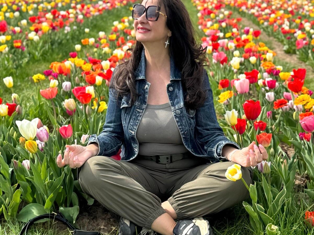 Tulleys Tulip Garden - Warwickshire-沃里克必去景点