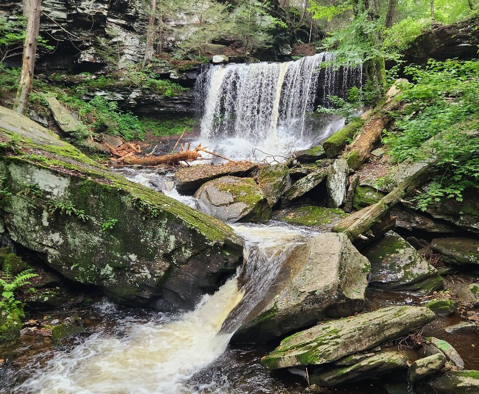 Ricketts Glen State Park-Benton必去景点