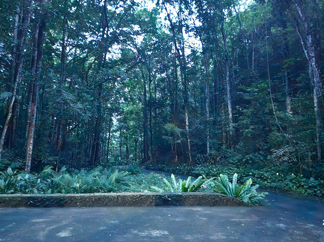 Rajah Sikatuna Protected Landscape-薄荷岛必去景点