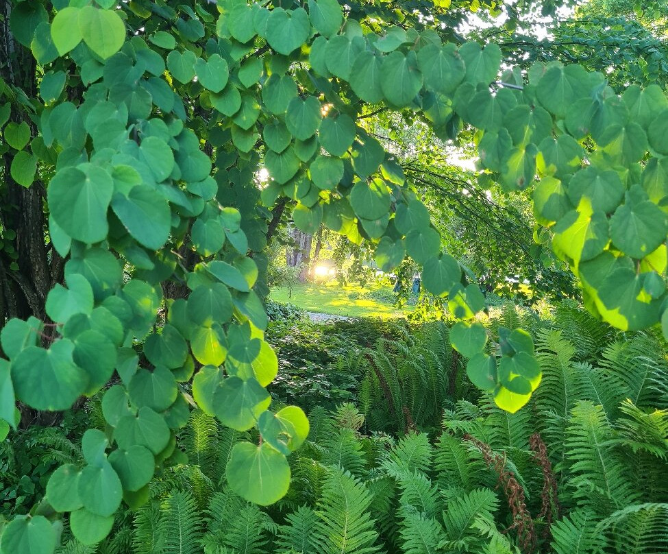 Boulognerskogen City Park-Gävle必去景点
