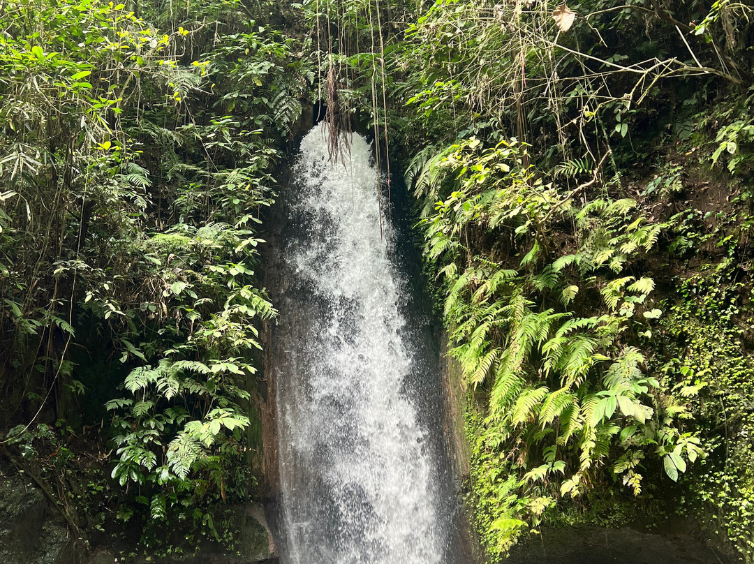 Authentic Walking Tours-乌布必去景点