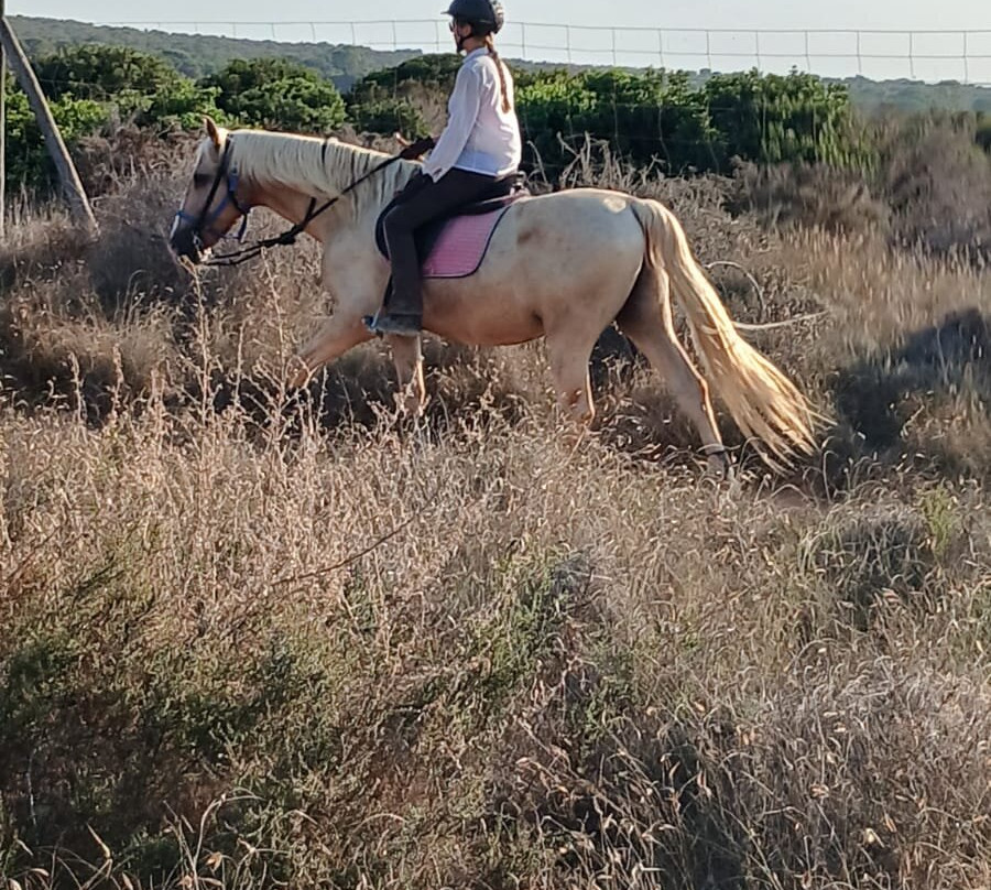 Riding stable El Refugio-瓜尔达马尔德尔塞古拉必去景点