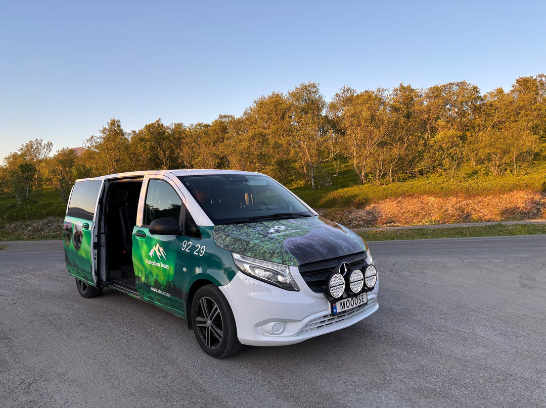 Vesterålen Tours-Sortland必去景点