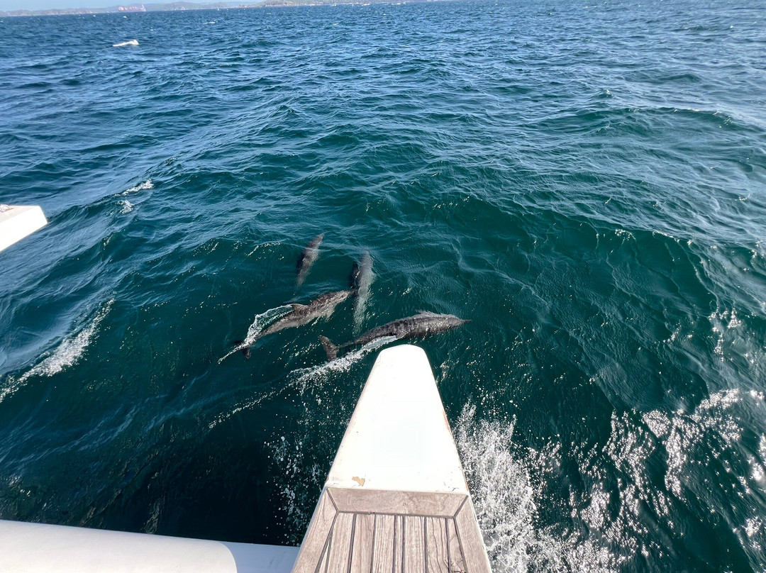 Sail Lanka - Trincomalee-Trincomalee必去景点