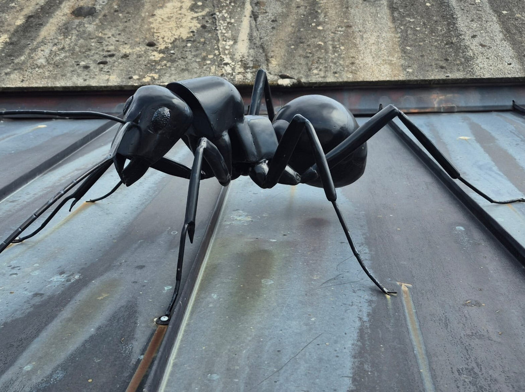 Micropolis La Cite Des Insectes-Saint-Leons必去景点