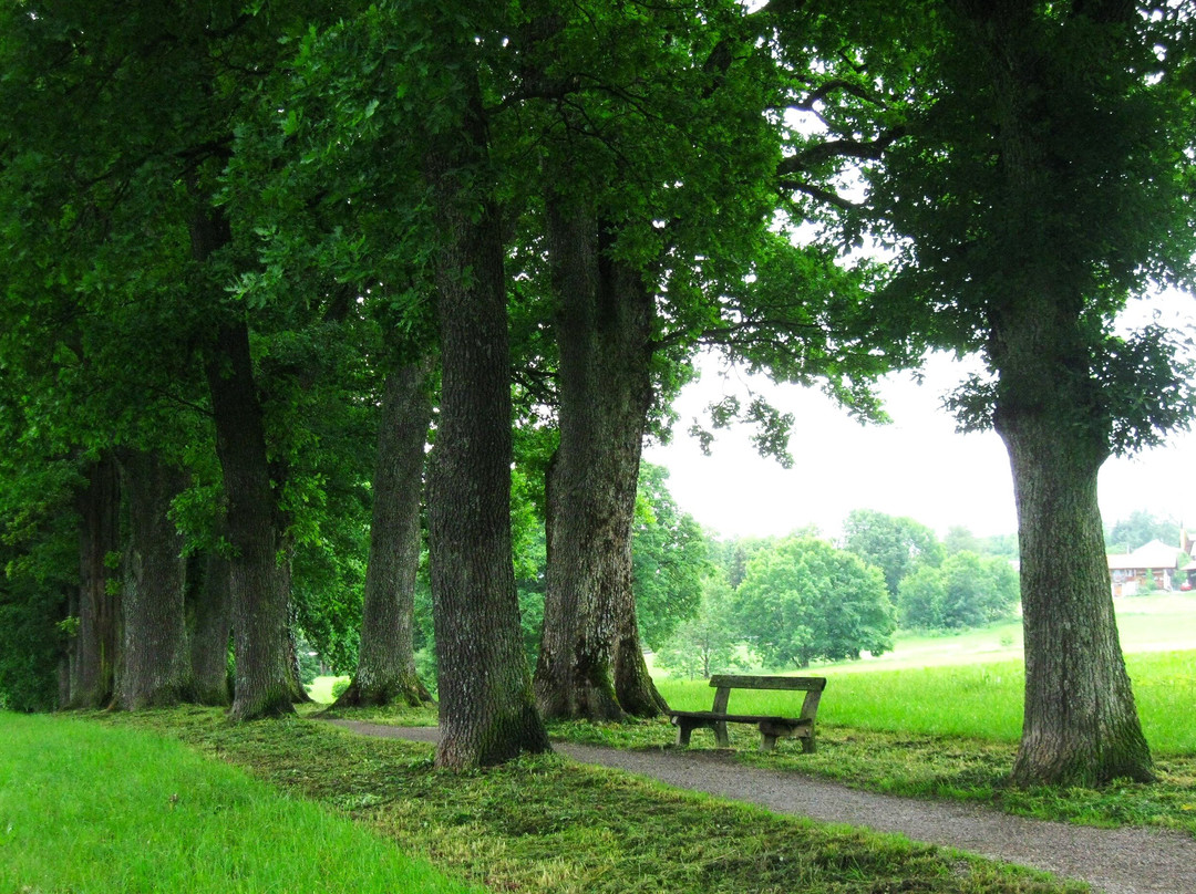 Kottmullerallee-Murnau必去景点