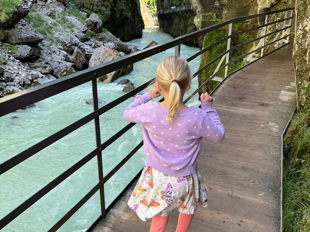 Typically Swiss Tours-卢塞恩必去景点