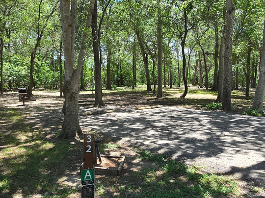 Palmetto State Park-Gonzales必去景点