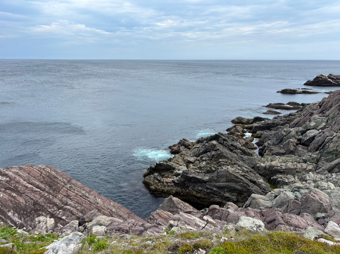 Lighthouse Picnics-Ferryland必去景点