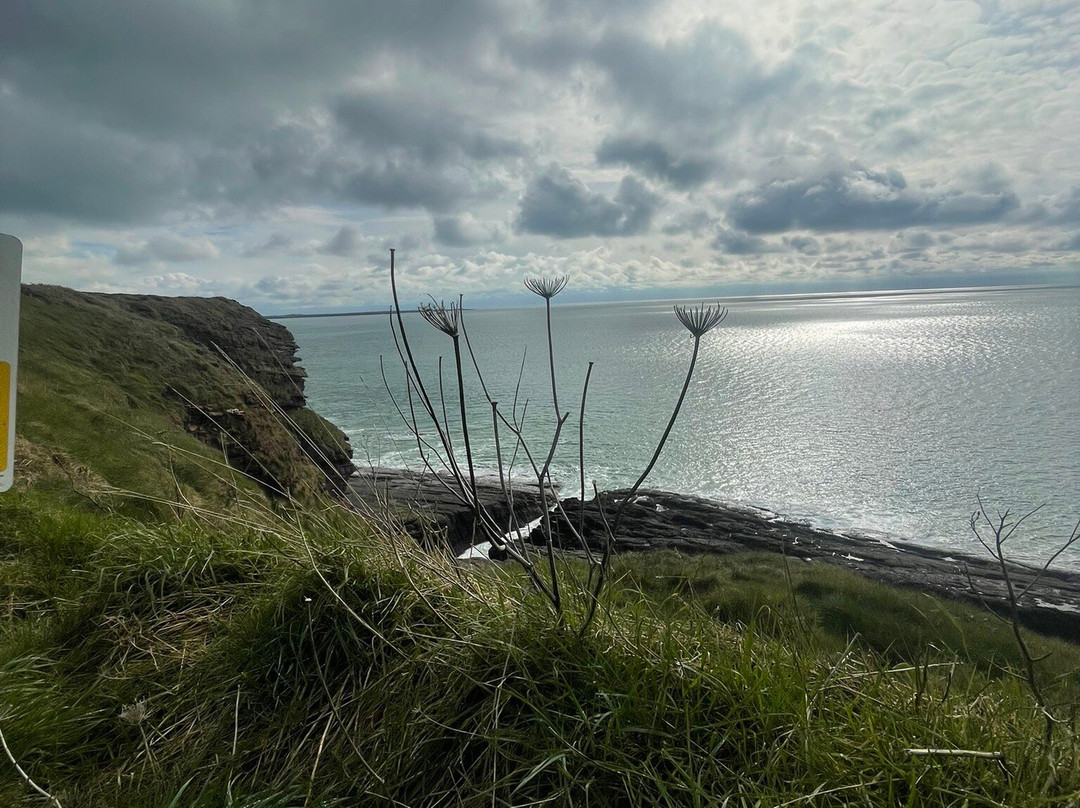 The Haven Hotel主图