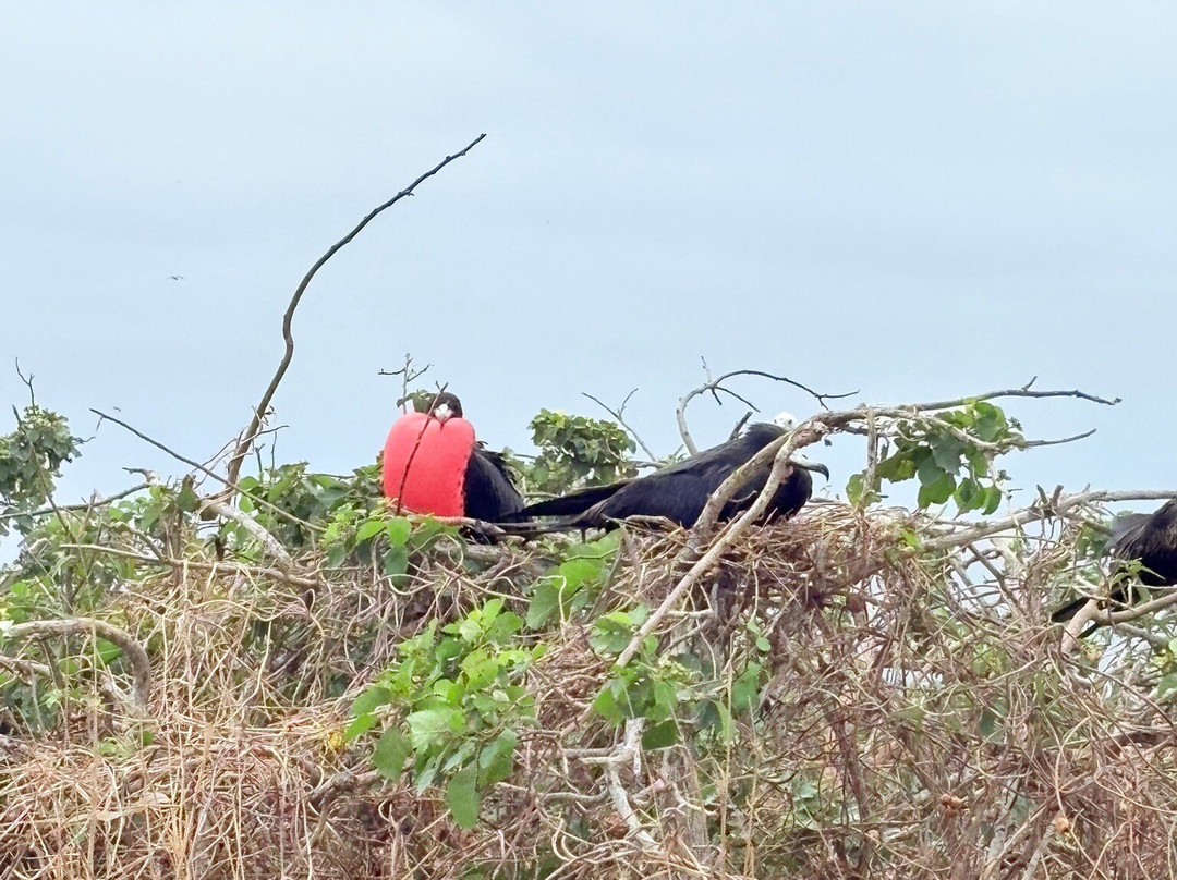Isla de la Plata-Machalilla National Park必去景点