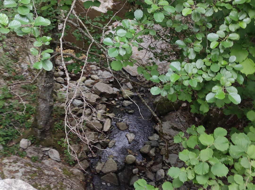 Cairn Expe-尼斯必去景点