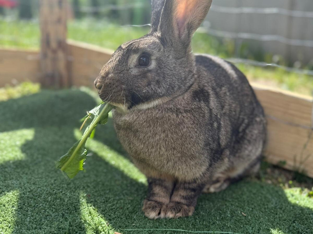 Stajnia Konsul-Koscielisko必去景点