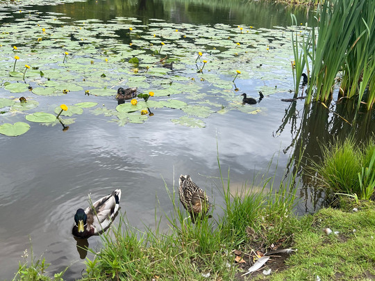 Linderud gård-奥斯陆必去景点